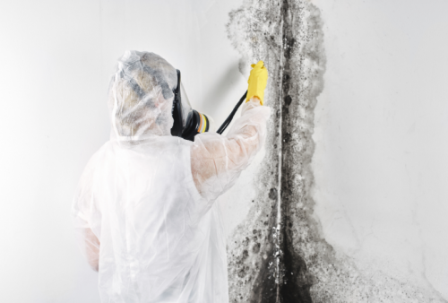 Are you looking out for mold & asbestos removal services? Canada's Restoration Services is a certified company & offers all the water damage, mold removal, smoke and fire damage, disaster recovery services in Canada. Call on 1-888-551-0514 today!