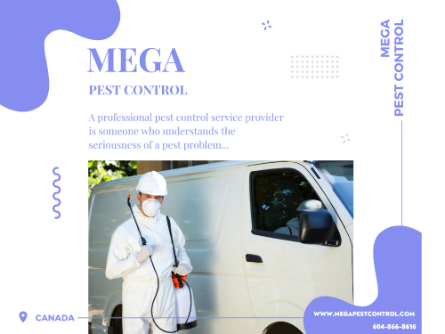 Mega Pest Control is the top pest control services provider in Surrey, Canada. We have professional pest control experts that offer best solution for pest control. Call now!

https://megapestcontrol.com/surrey/