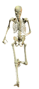 skeleton run w