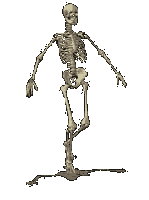 SkeletonRun