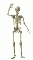 2021 skeleton waving animated