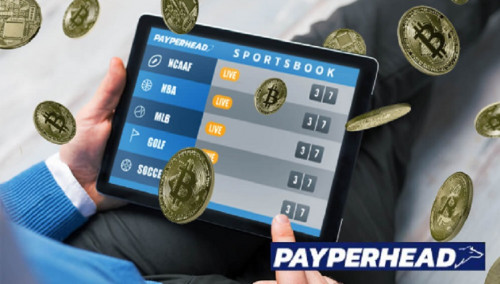 https://payperheadsportsbook.com/reviews/

Looking for Pay Per Head review that you can rely on? Contact PayPerHead Sportsbook today, we also offer top-of-the-line software and services, as well as 24/7 customer support, to ensure that your betting experience is flawless. Plus, our competitive rates mean that you'll get the most bang for your buck. So what are you waiting for? Sign up today for Bookie Review!

https://www.xaphyr.com/posts/176861